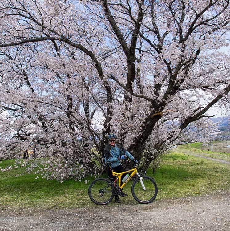 Eco Tours Japan Cycling and MTB tours in Yamanashi Japan and Mt Fuji 5 lakes world heritage area.
