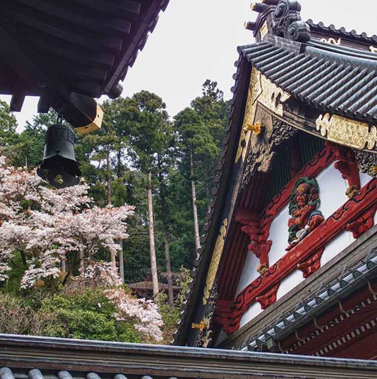 Eco Tours Japan temples and shrines tour in Yamanashi Japan