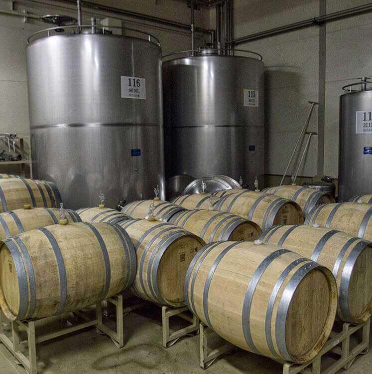 Eco Tours Japan winery and Wine Tasting tour in Katsunuma Yamanashi Japan