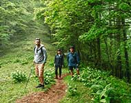 Eco Tours Japan Hiking & Walking Tours in Yamanashi Japan, the Minami Alps, and Mt. Fuji World Heritage Area