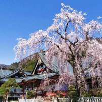 Eco Tours Japan temples and shrines tour in Yamanashi Japan